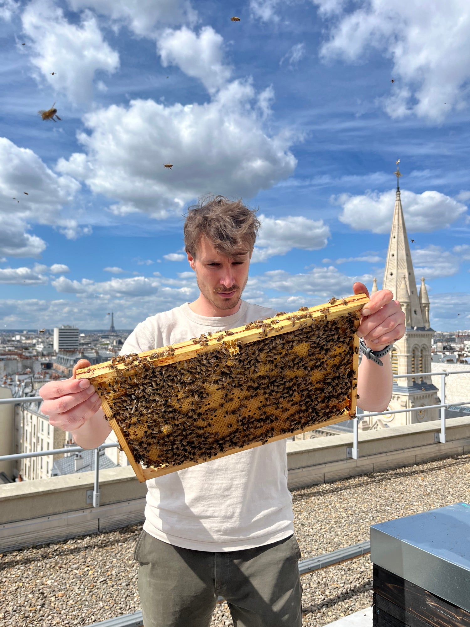 Apiculteur inspectant un cadre de ruche rempli d’abeilles sur un toit de Paris avec vue sur la ville - Les Ruches Noires - Etienne Coz