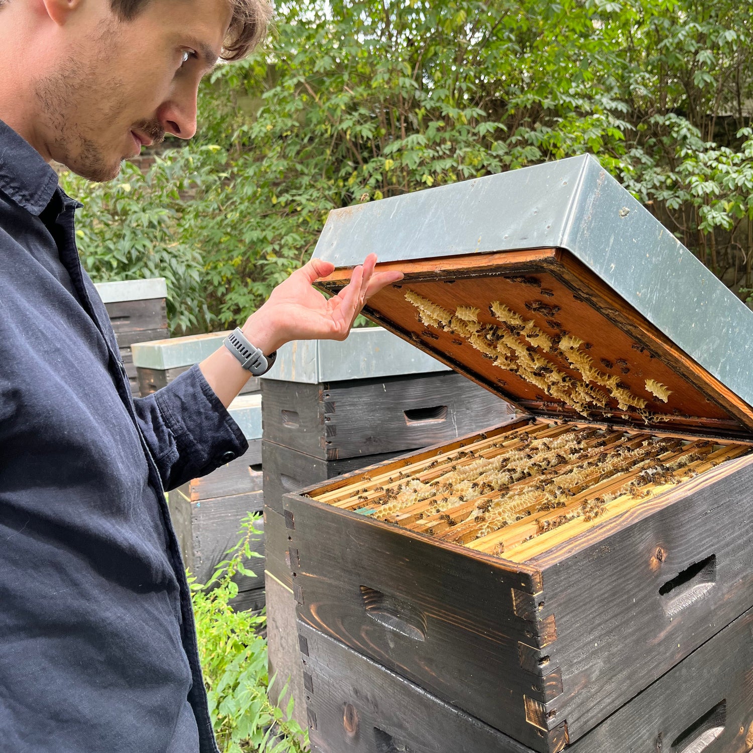 Étienne Coz ouvrant une ruche à Paris – apiculteur urbain pratiquant une apiculture attentive