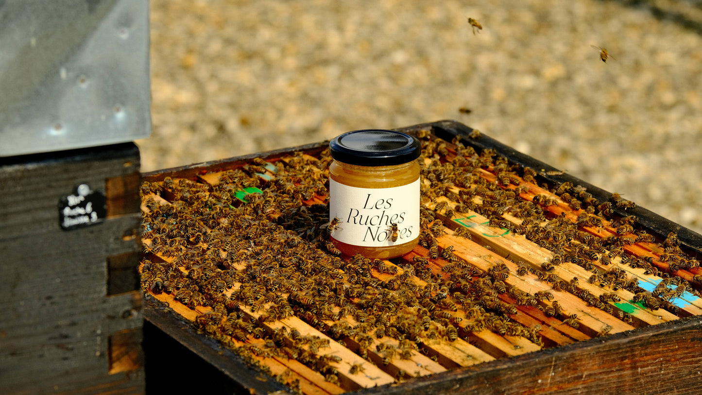 Pot de miel de Paris Les Ruches Noires posé sur une ruche ouverte avec des abeilles sur le pot