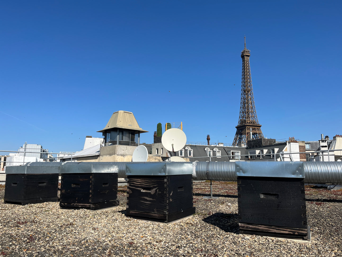 Ruches urbaines en bois brûlé sur un toit de Paris avec la Tour Eiffel en arrière-plan – Les Ruches Noires