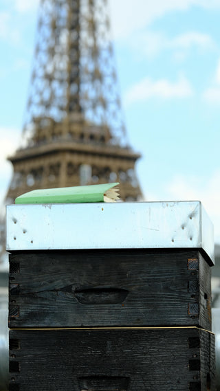 Carnet de suivi apicole posé sur une ruche à Paris avec la Tour Eiffel en arrière-plan