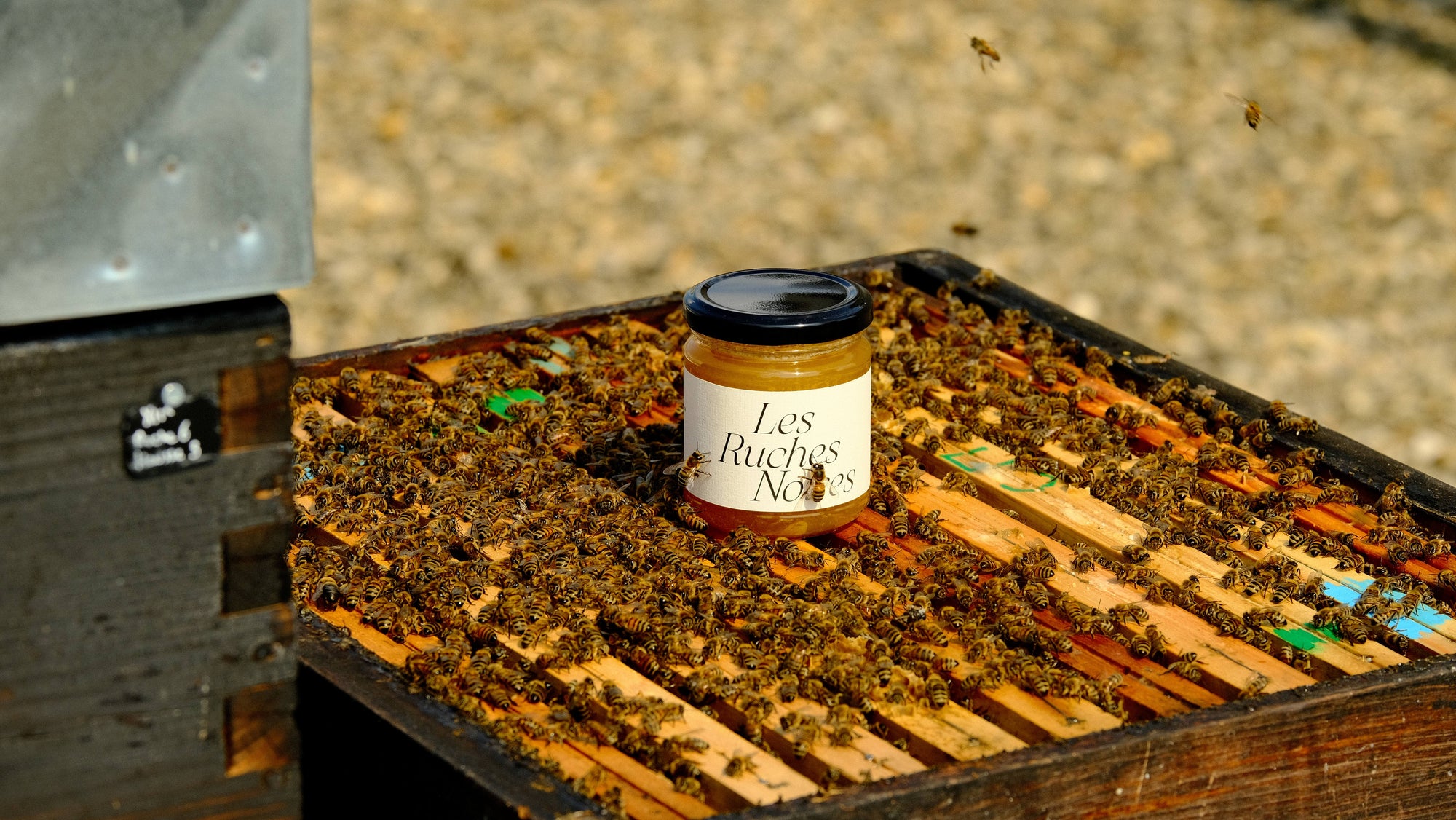 Pot de miel de Paris Les Ruches Noires posé sur une ruche ouverte avec des abeilles sur le pot