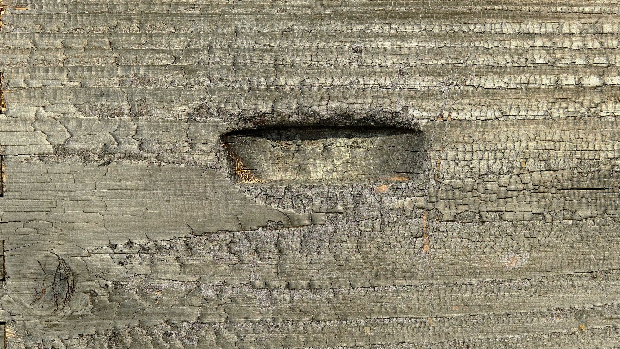 Détail du bois brûlé par yakisugi utilisé pour les ruches urbaines Les Ruches Noires à Paris