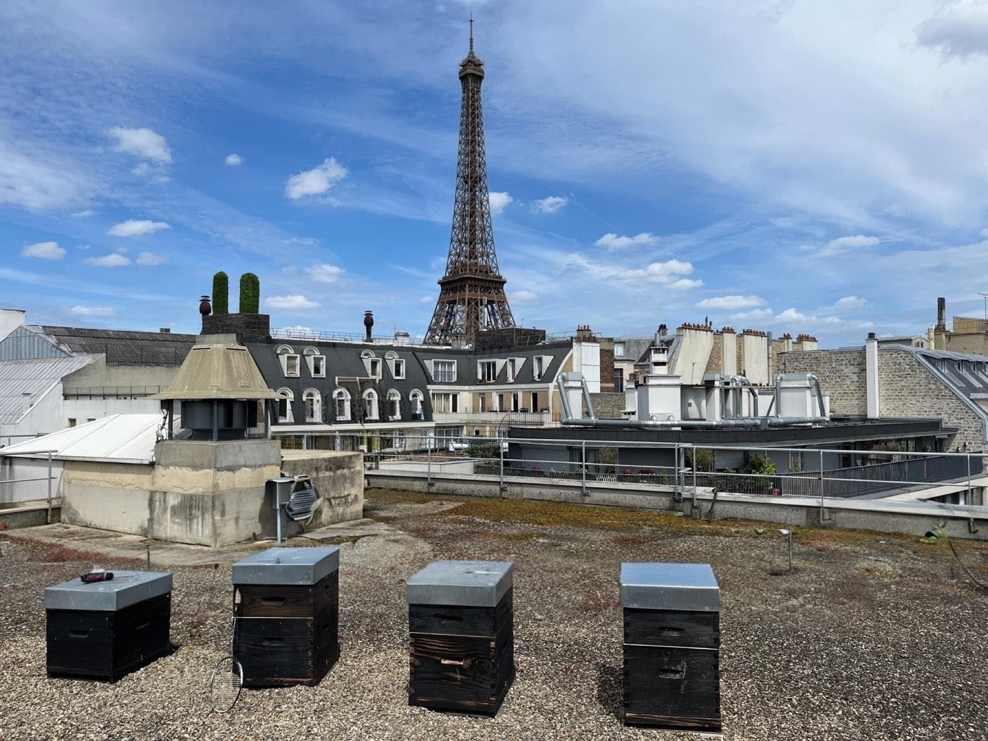 Ruches en bois brûlé sur un toit face à la tour Eiffel, rucher du Champ-de-Mars, Paris 7e