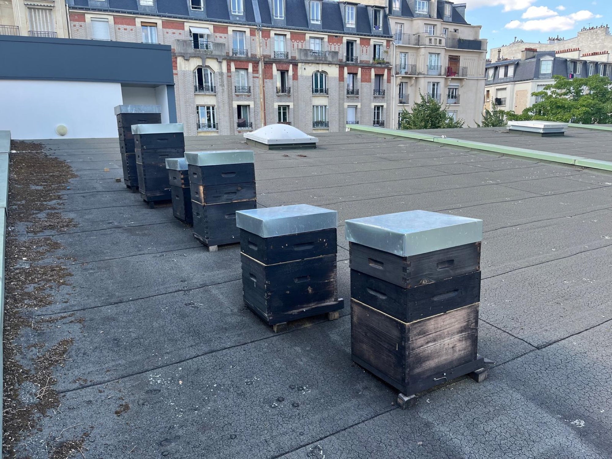 Ruches en bois brûlé sur des toits du 15e arrondissement, rucher Convention à Paris