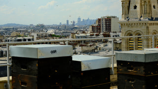Ruches en bois sur un toit parisien avec vue sur La Défense – Les Ruches Noires